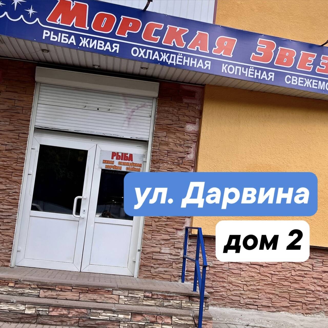 Карась/Щука/Сом/Сазан/Судак в Твери фото 4 Продукты питания Тверь