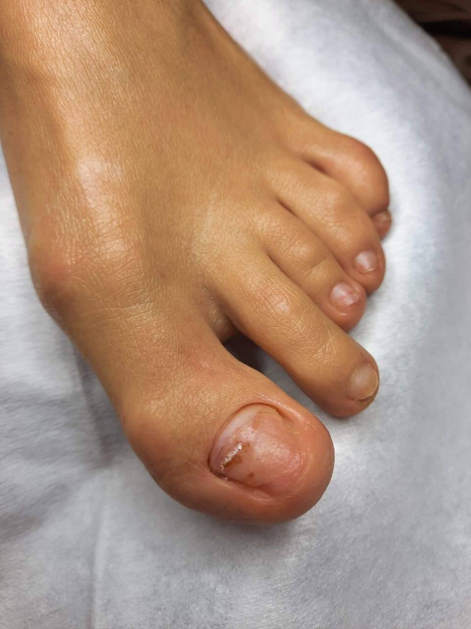 Micheilis Podolog в Люберцах фото 2 Услуги Люберцы