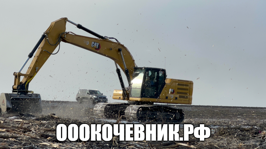 Вырубка деревьев при строительстве разных объектов в Белгороде фото 6 Услуги Белгород