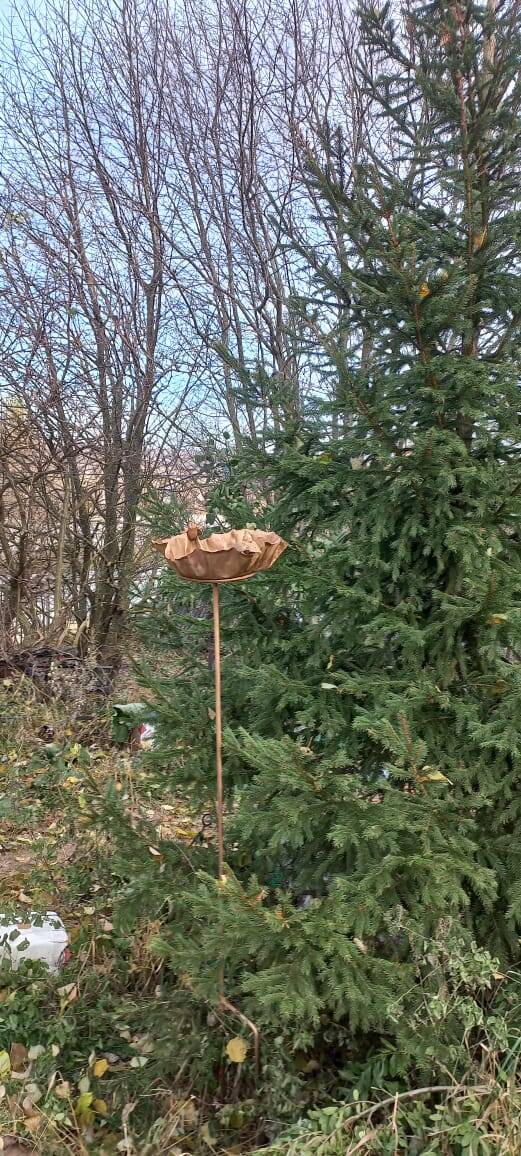 Поилка для птиц   в Москве фото 2 Для дома и дачи Москва