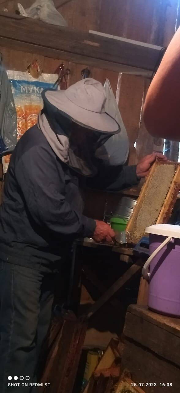 Продам натуральный мёд в Выборге фото 2 Продукты питания Выборг