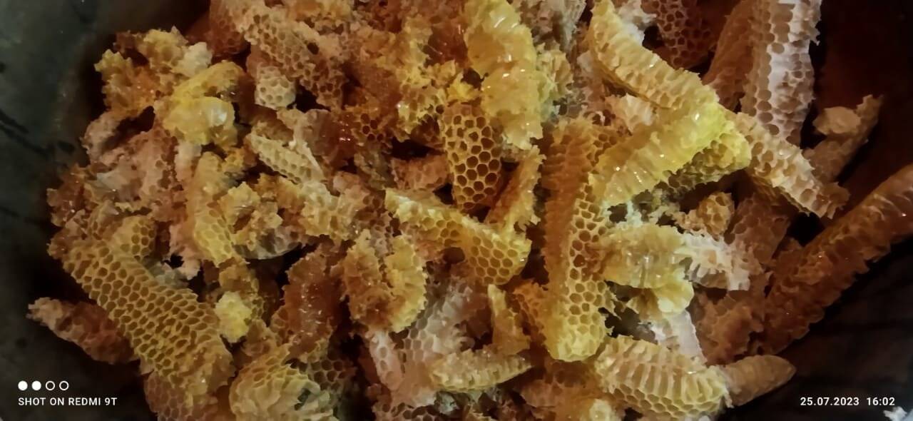 Продам натуральный мёд в Выборге фото 3 Продукты питания Выборг