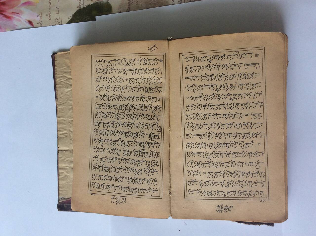 старвй коран в Санкт-Петербурге фото 2 Увлечения и отдых Санкт-Петербург