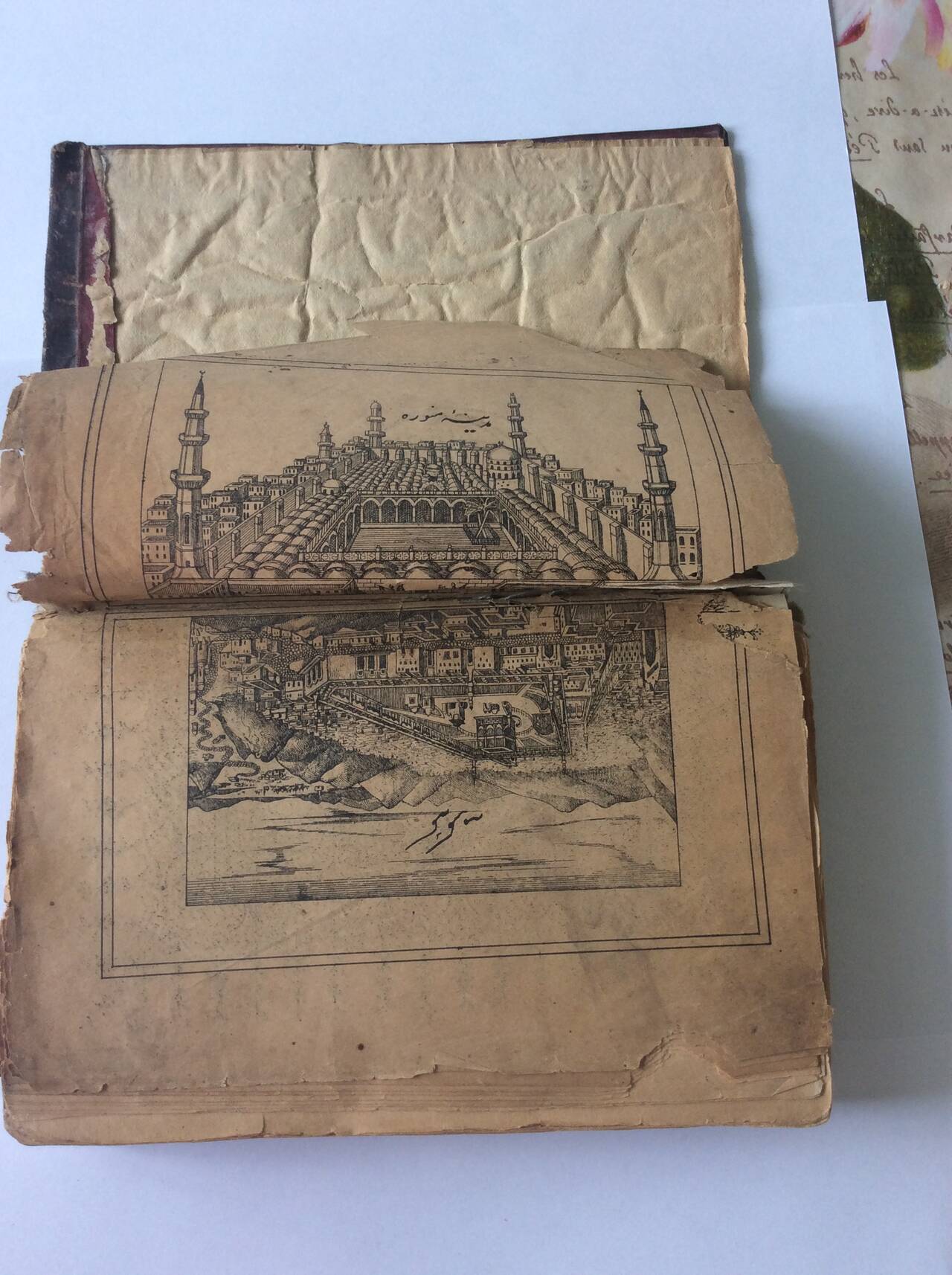 старвй коран