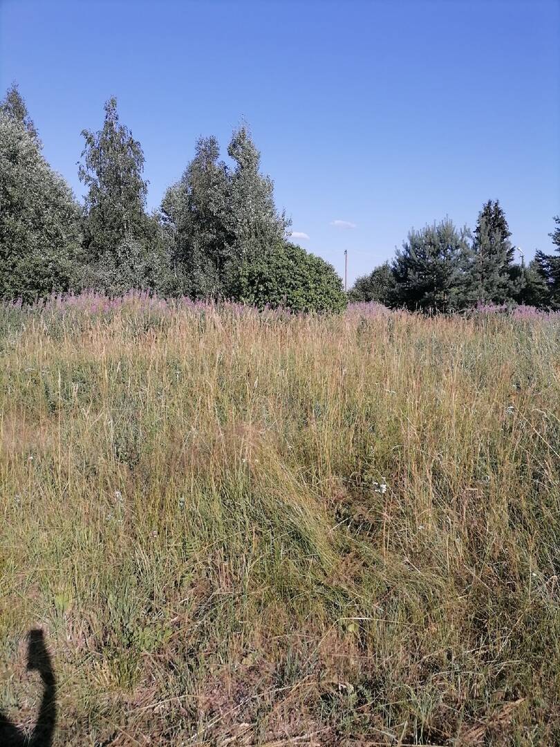 Продам участок в пос Зверево в Выборге фото 4 Недвижимость Выборг