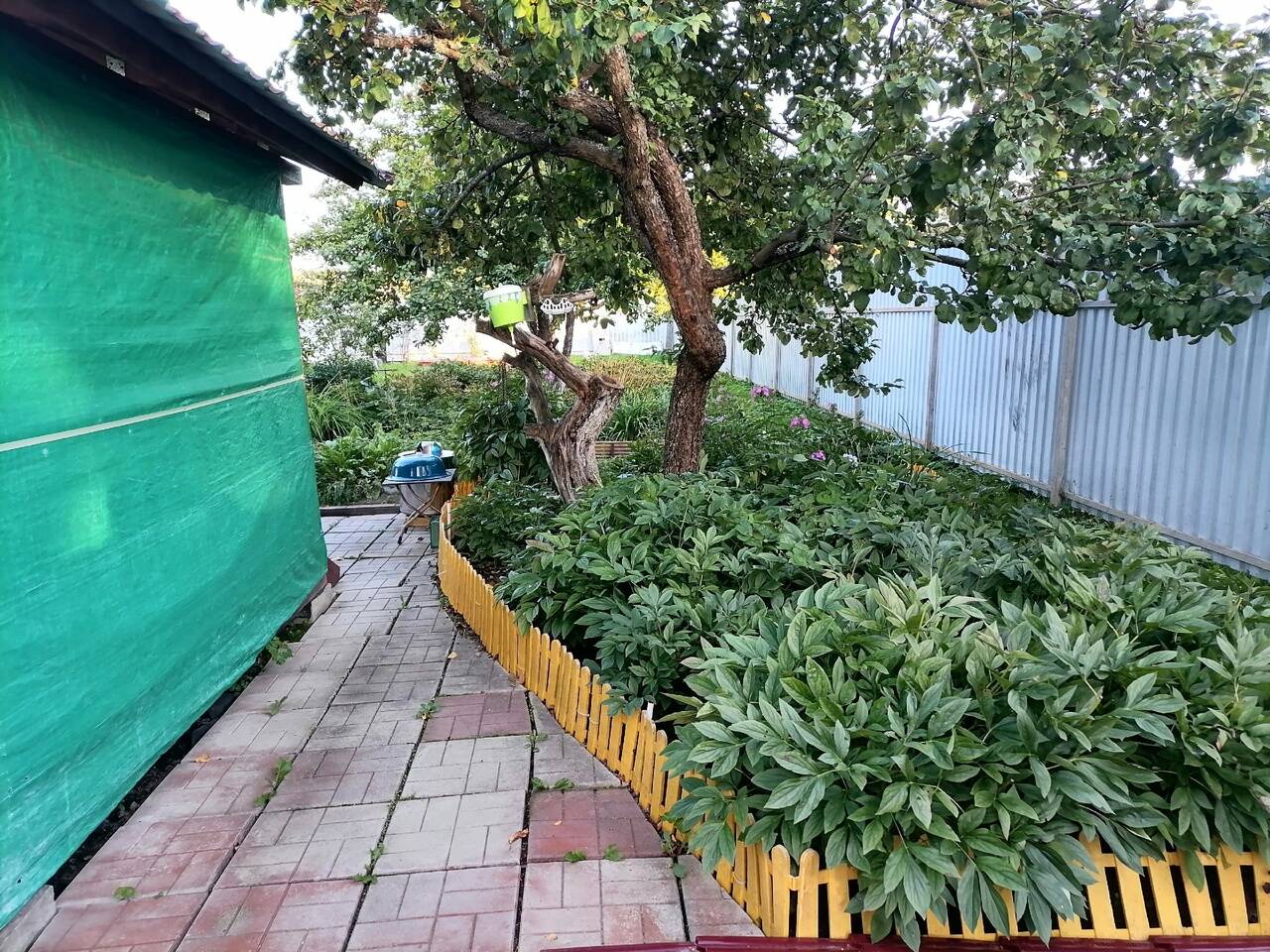 Продам участок с дачей в черте г Выборга в Выборге фото 6 Недвижимость Выборг