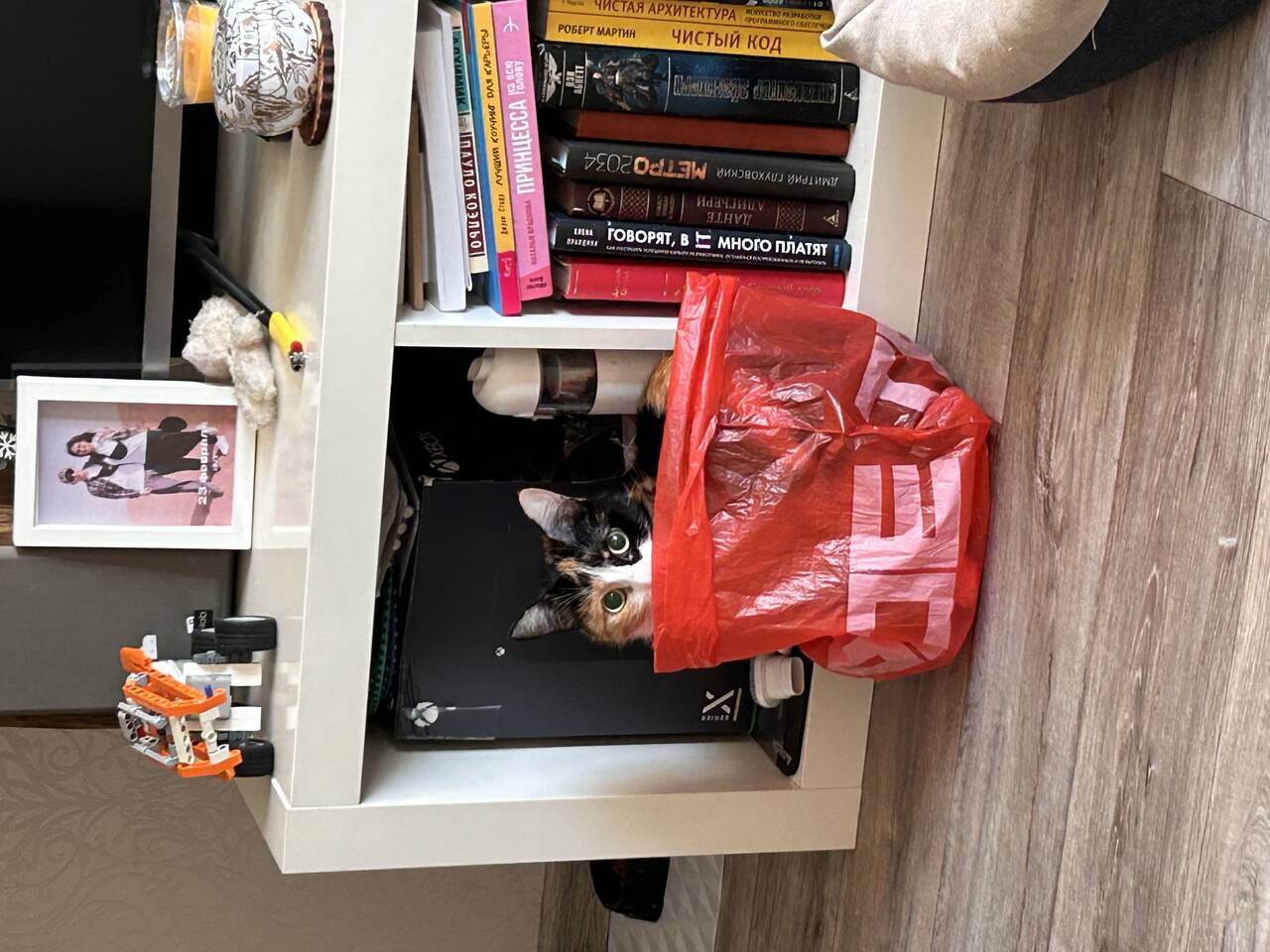 Ищет добрый руки в Новосибирске фото 1 Услуги Новосибирск Ищет добрый руки в Новосибирске фото 1 Услуги Новосибирск