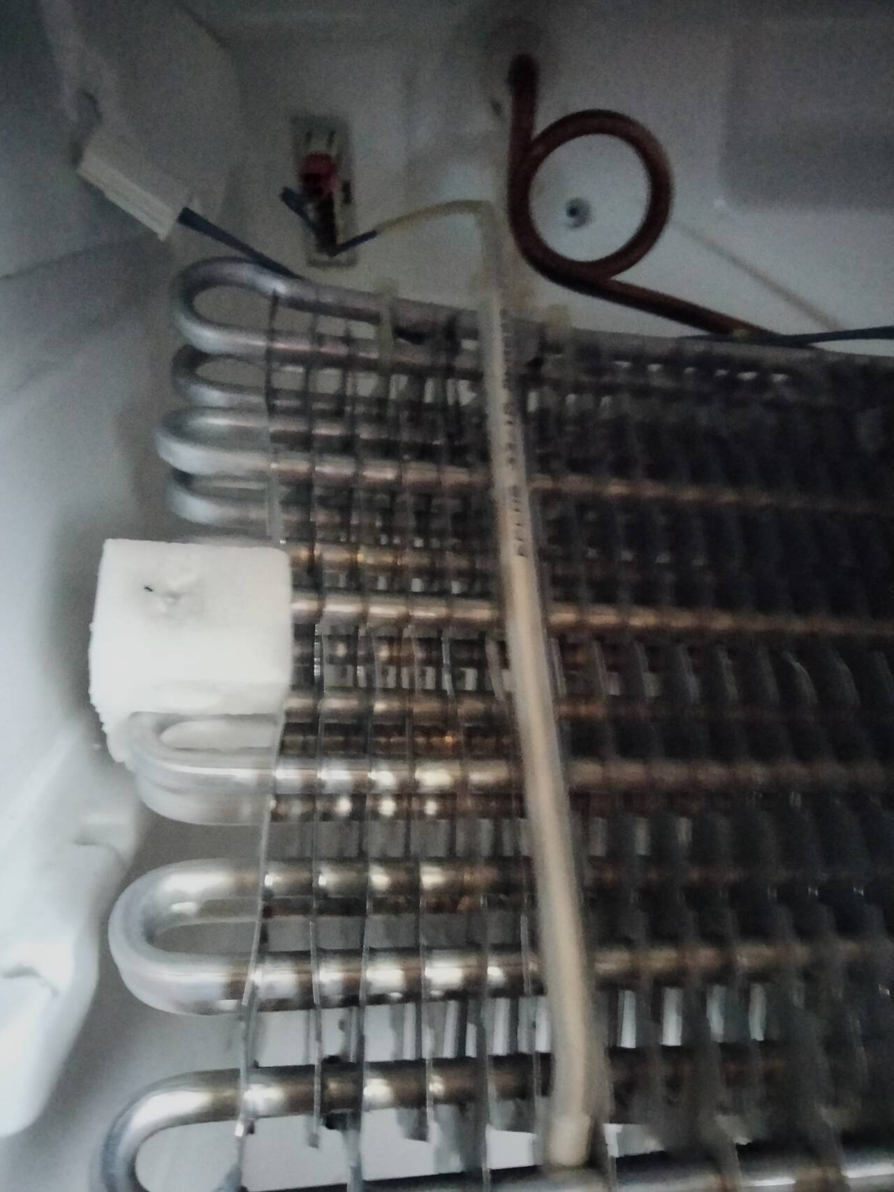 Профессиональный ремонт холодильников в Нижнем Новгороде в Нижнем Новгороде фото 2 Услуги Нижний Новгород