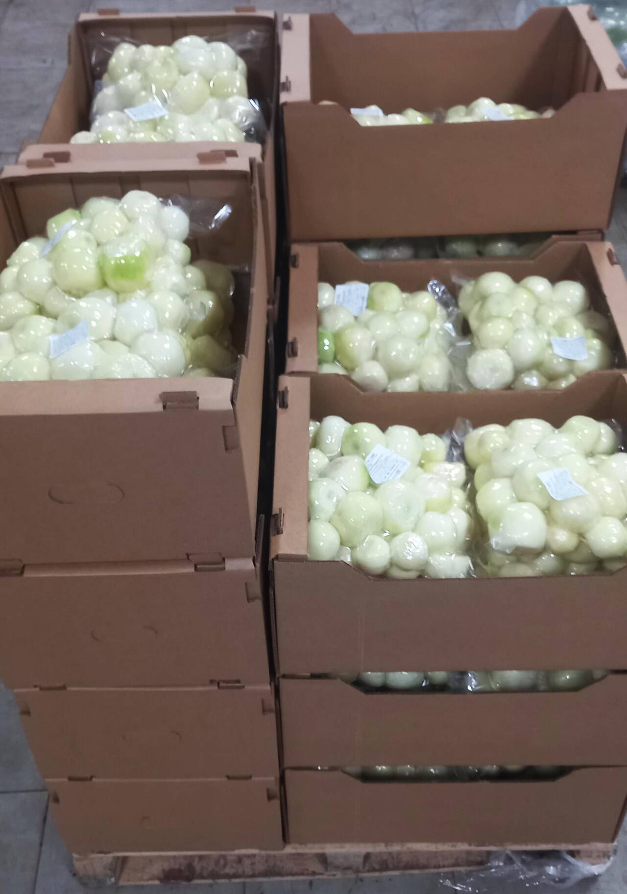 Лук репчатый очищенный в/у в Москве фото 2 Продукты питания Москва