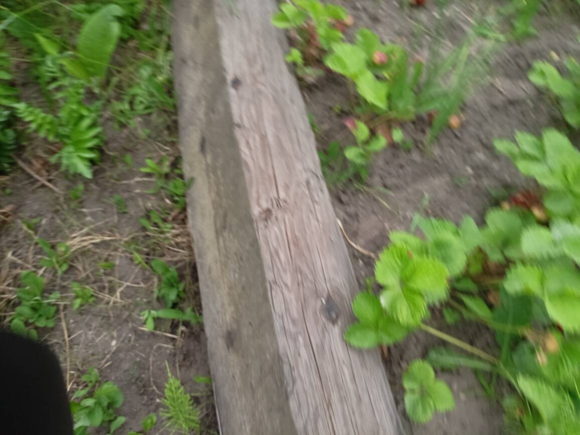 Продам дом в александровке в Саратове фото 7 Недвижимость Саратов