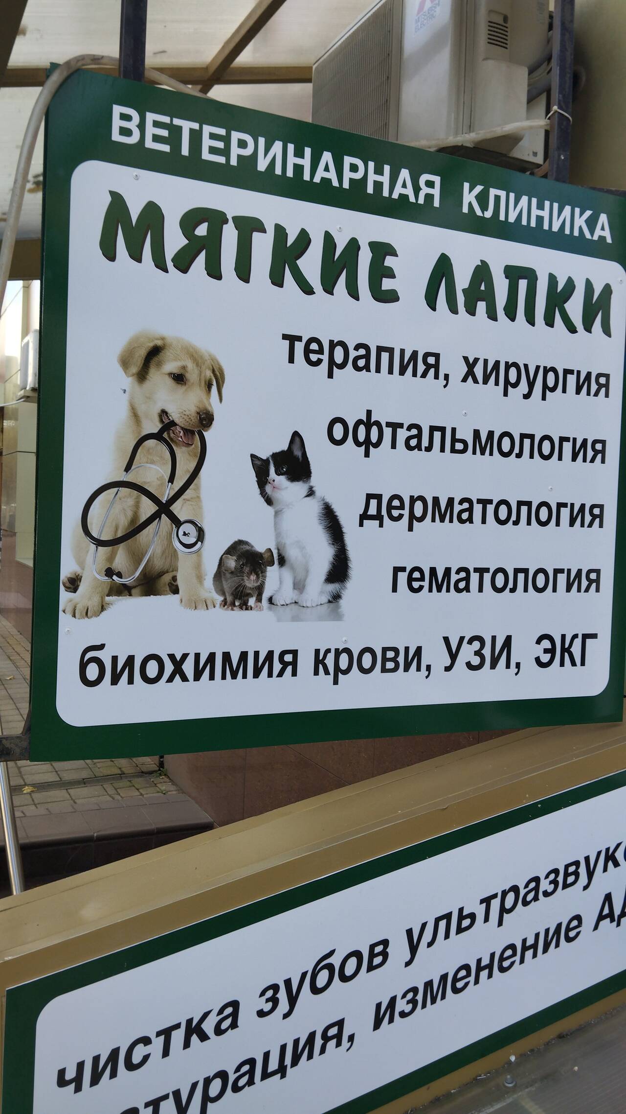 Ветеринарная клиника Мягкие лапки