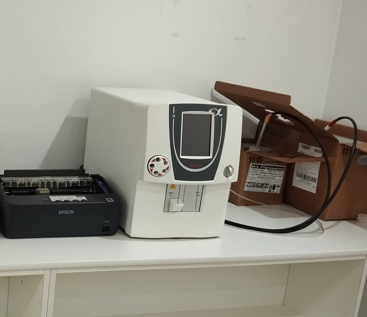 Ветеринарная клиника Мягкие лапки в Армавире фото 4 Услуги Армавир