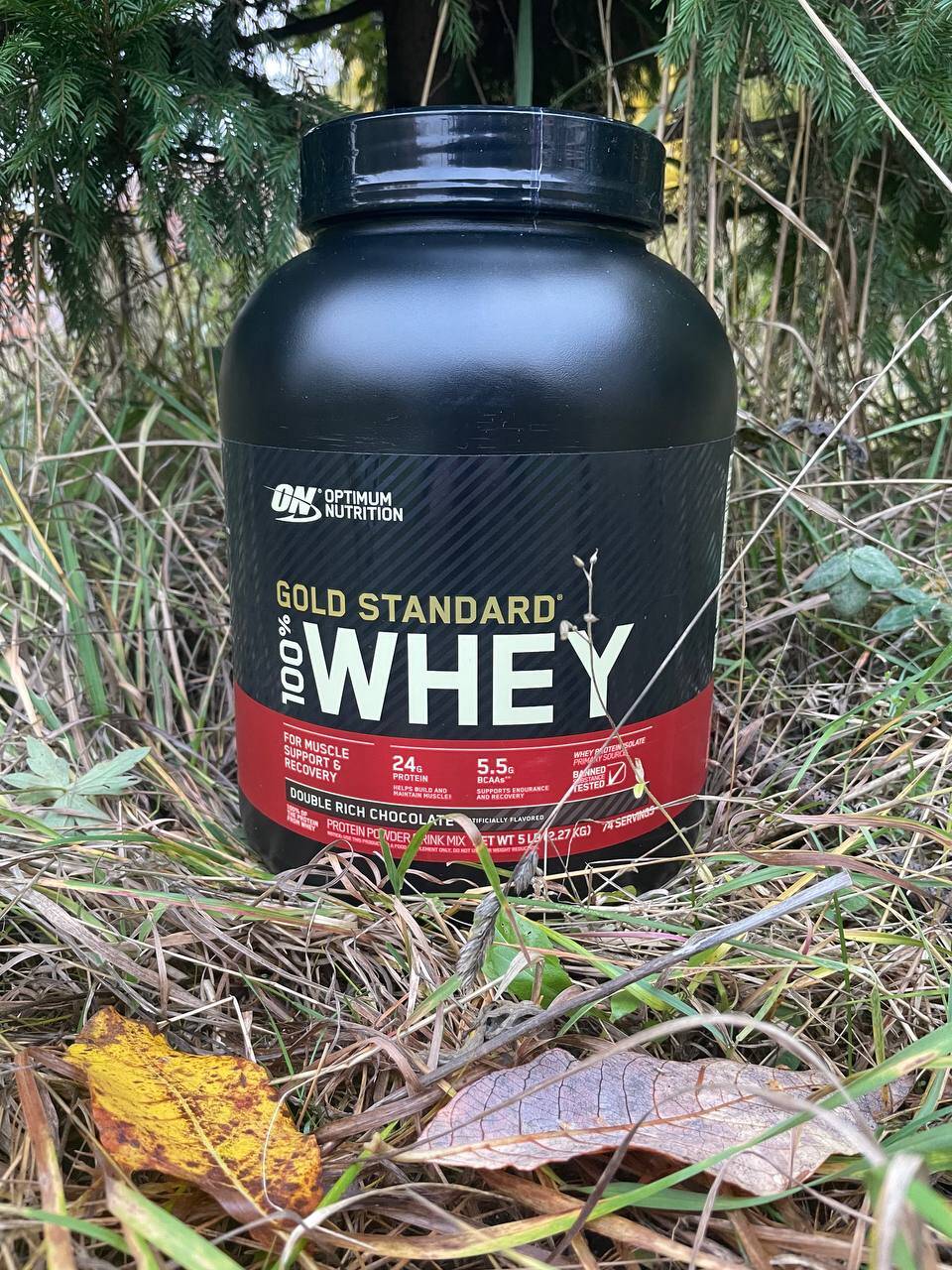 Optimum Nutrition 100% Whey Протеин
