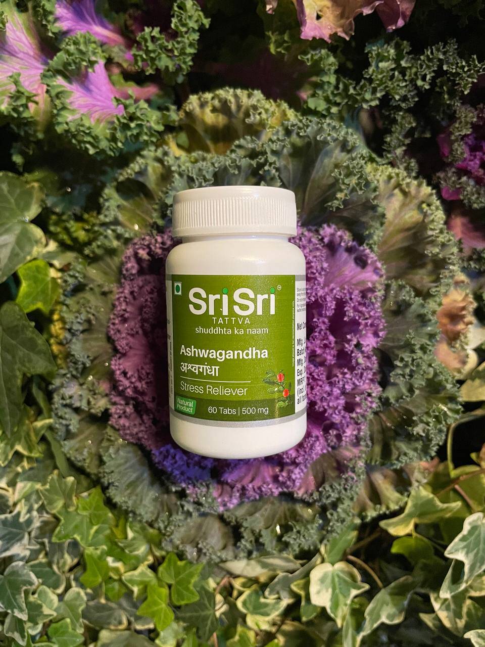 Ashwagandha Sri Sri Ашваганда мужское здоровье тестостерон