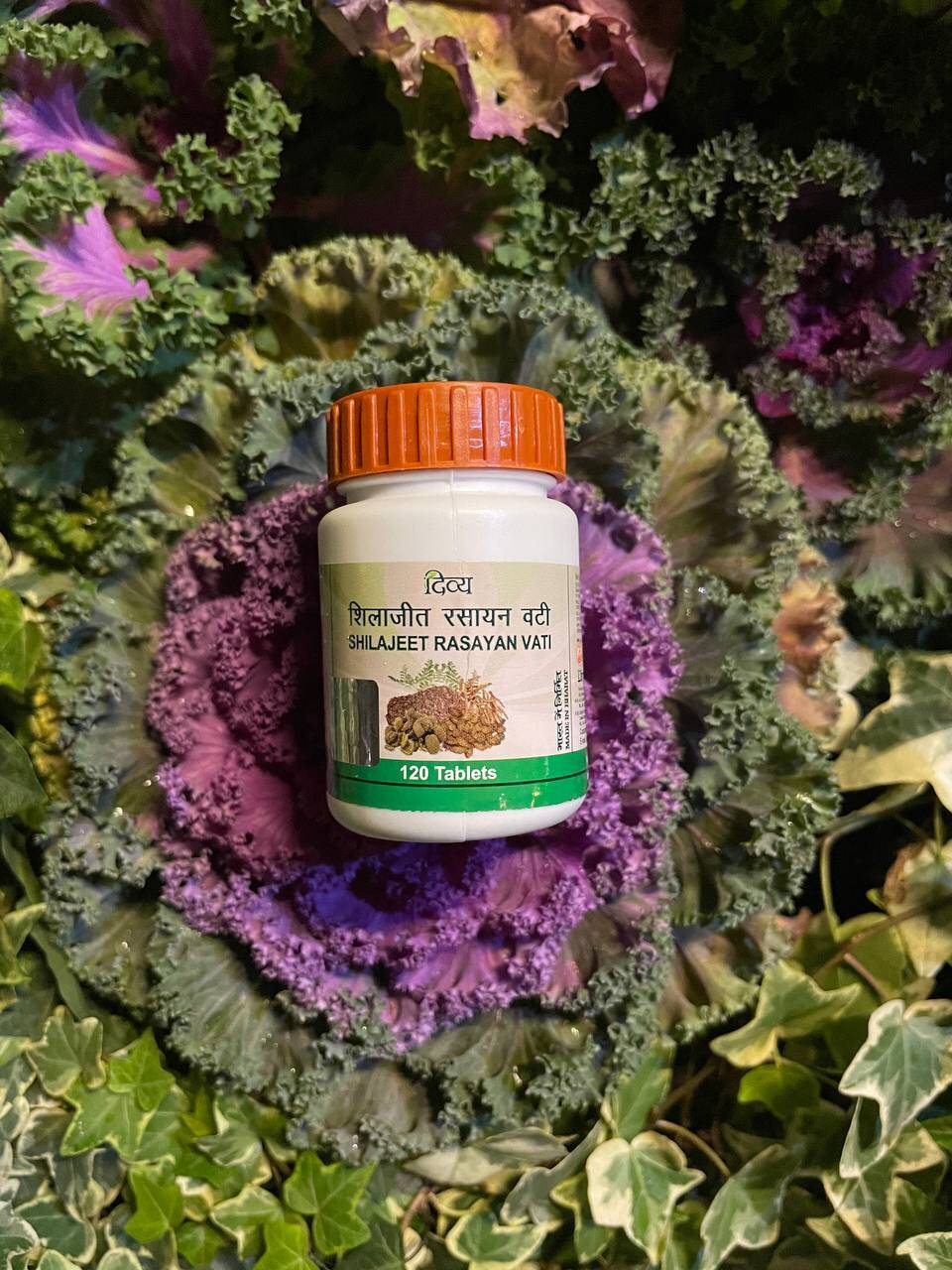 Shilajeet Rasayan Vati Шиладжит мужское здоровье тестостерон