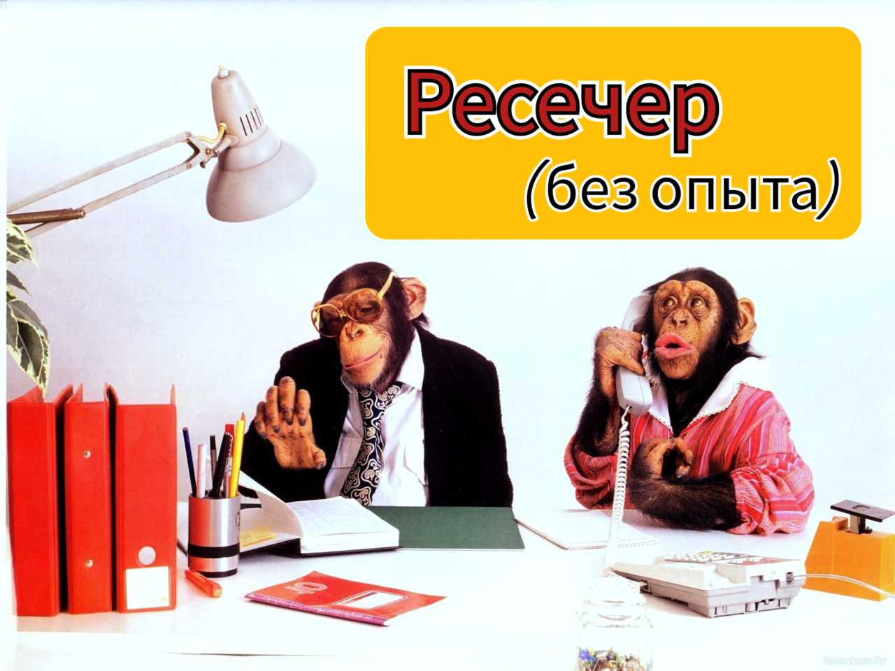 Ресечер в офис (без опыта) в Кирове (Кировская область) фото 1 Работа Киров (Кировская область) Ресечер в офис (без опыта) в Кирове (Кировская область) фото 1 Работа Киров (Кировская область)
