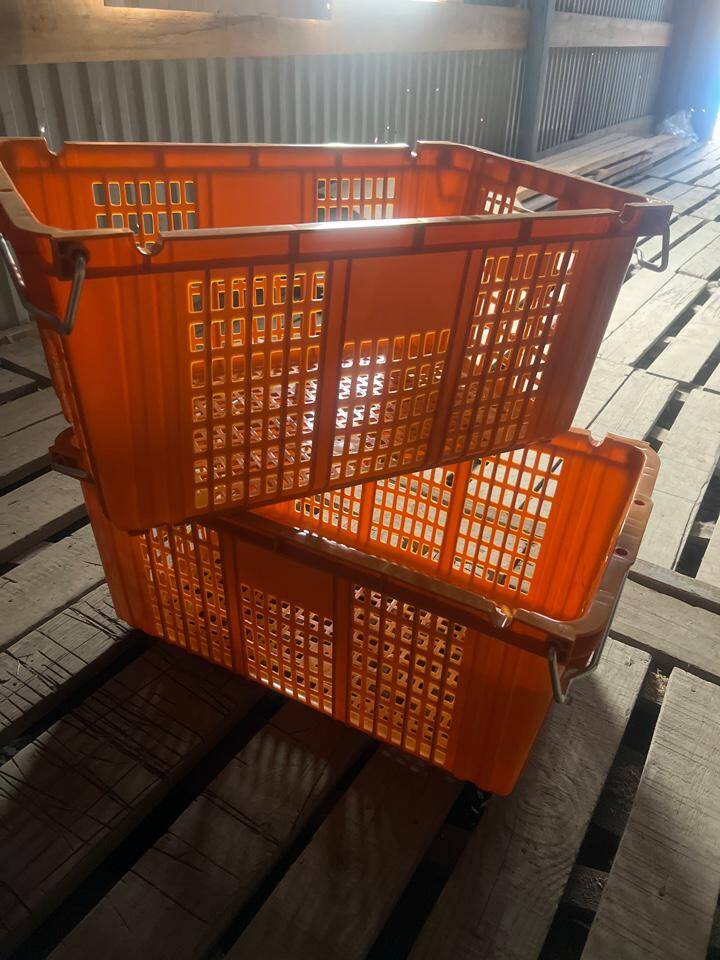 Корзина пищевая, пластиковая перфорированная усиленная во Владивостоке фото 3 Для дома и дачи Владивосток Корзина пищевая, пластиковая перфорированная усиленная во Владивостоке фото 3 Для дома и дачи Владивосток