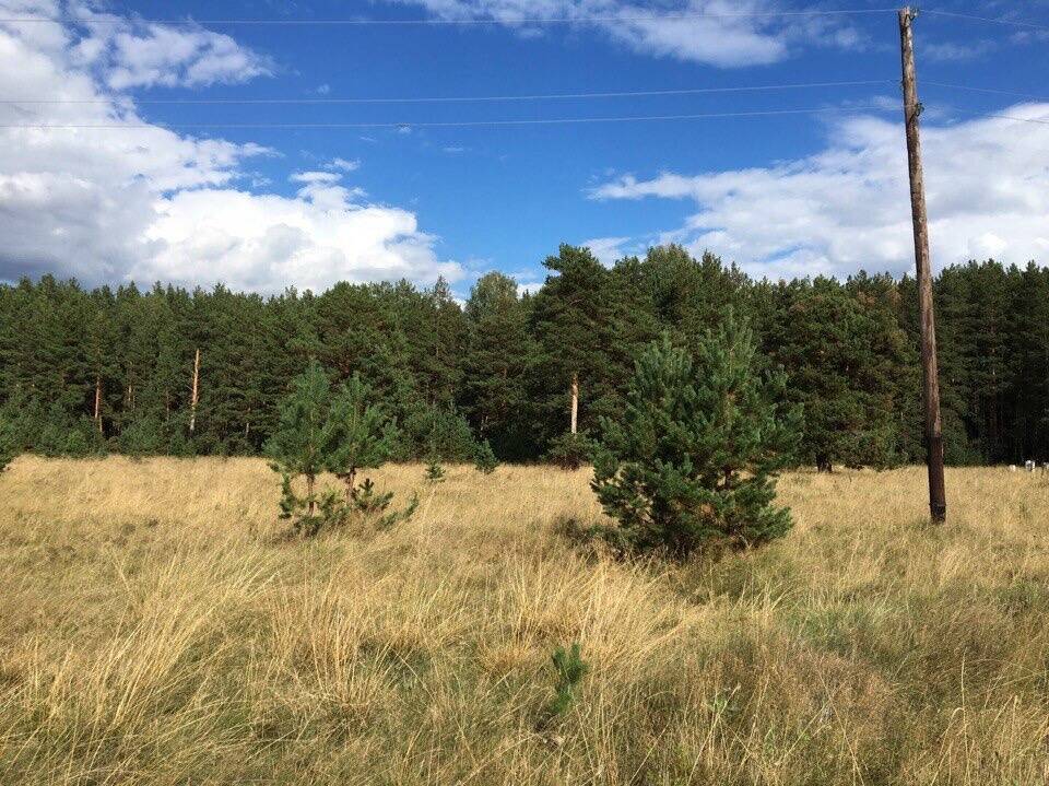 Продаётся участок в Каменске-Уральском фото 2 Недвижимость Каменск-Уральский