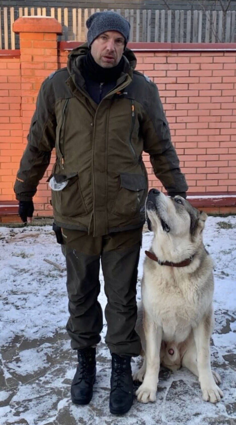 дрессировка собак в Ярославле фото 3 Услуги Ярославль