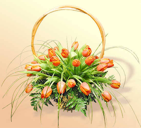 Продам тюльпаны оптом в Москве фото 3 Для дома и дачи Москва