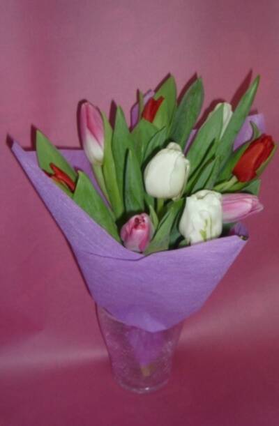 Продам тюльпаны оптом