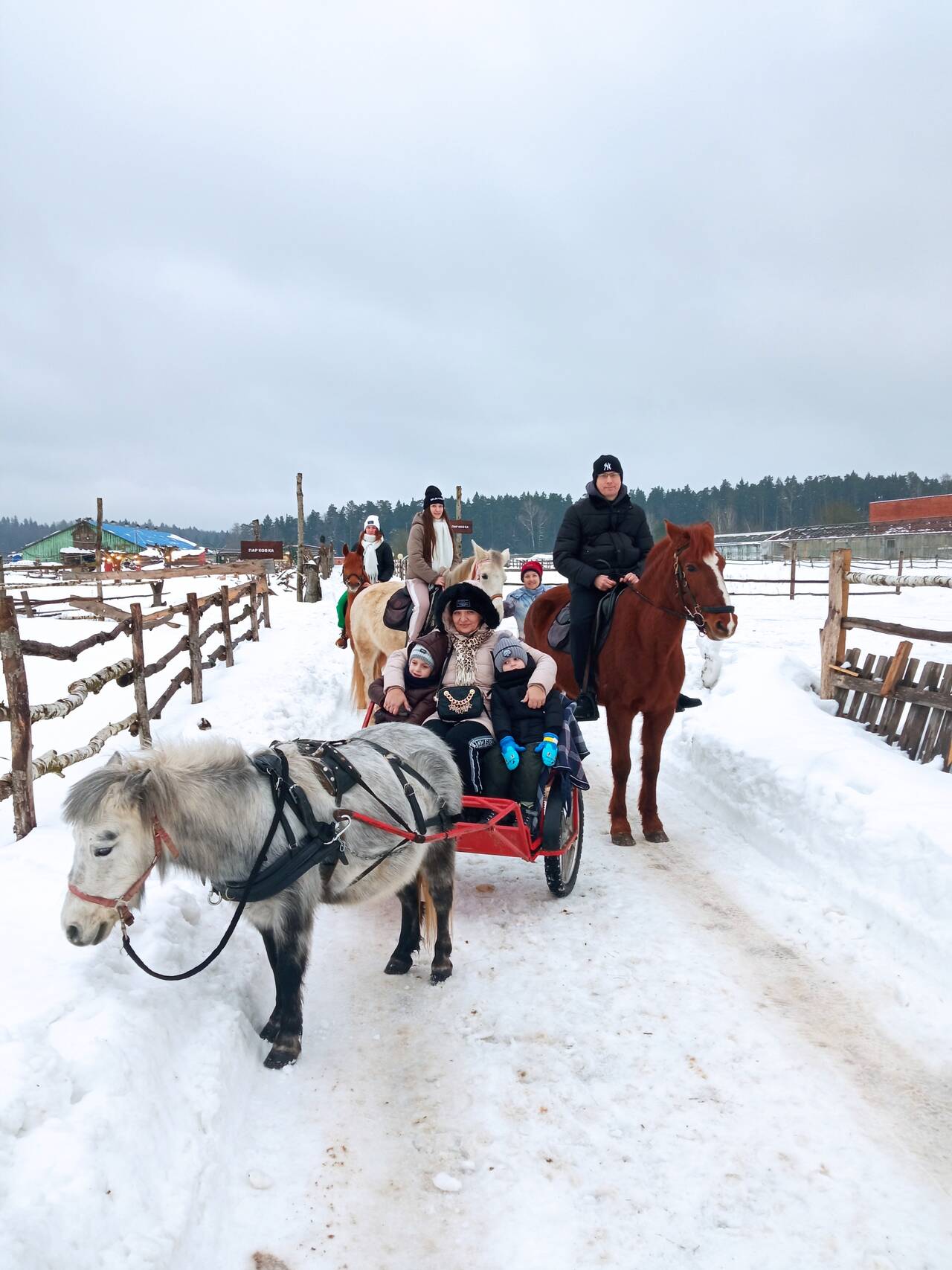 Экскурсия на экзотик ферму  в Одинцово фото 3 Увлечения и отдых Одинцово