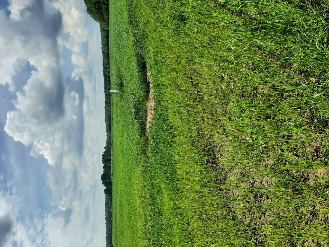 Земля для с/х производства в Москве фото 4 Недвижимость Москва