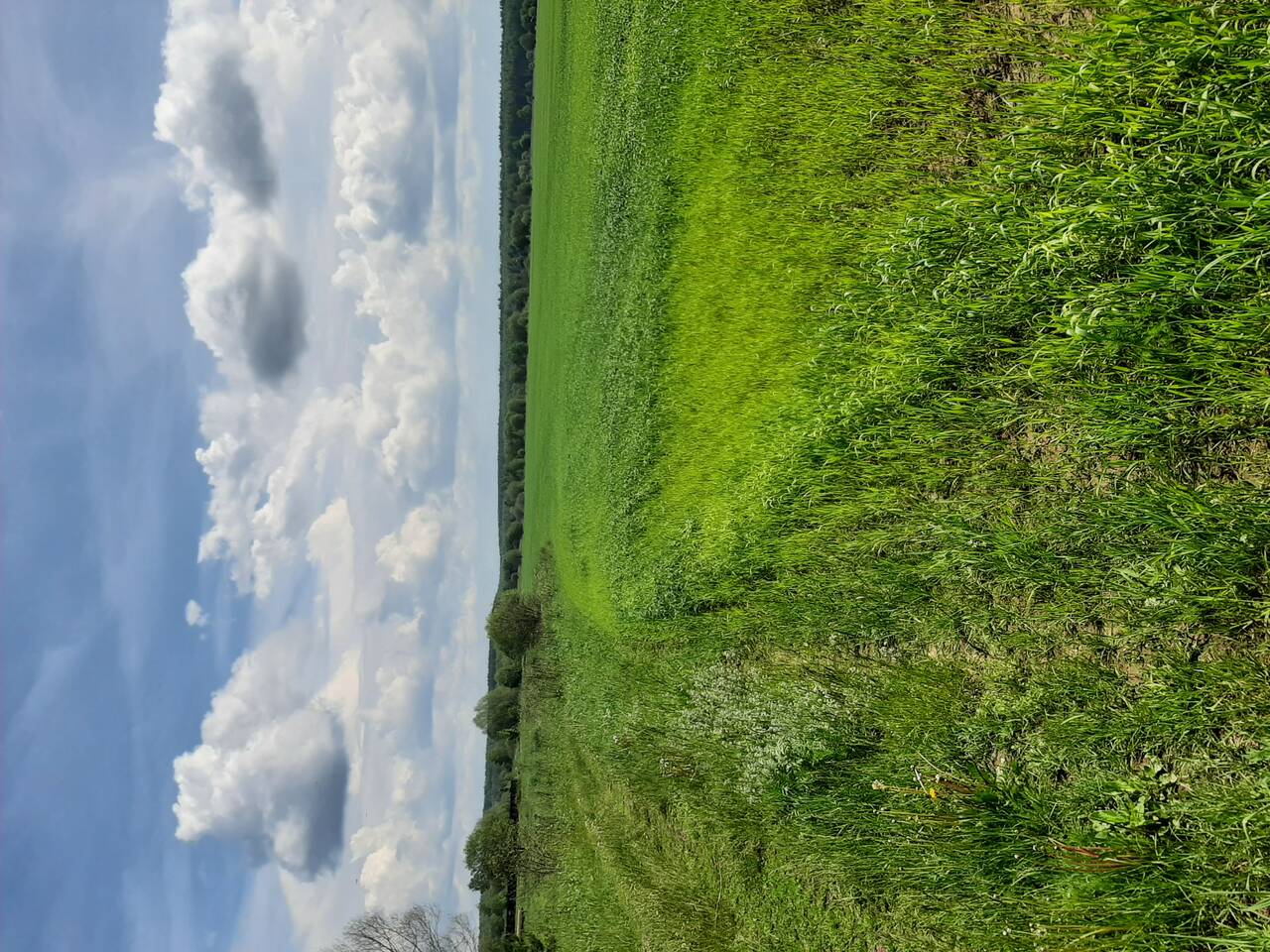 Земля для с/х производства в Москве фото 5 Недвижимость Москва