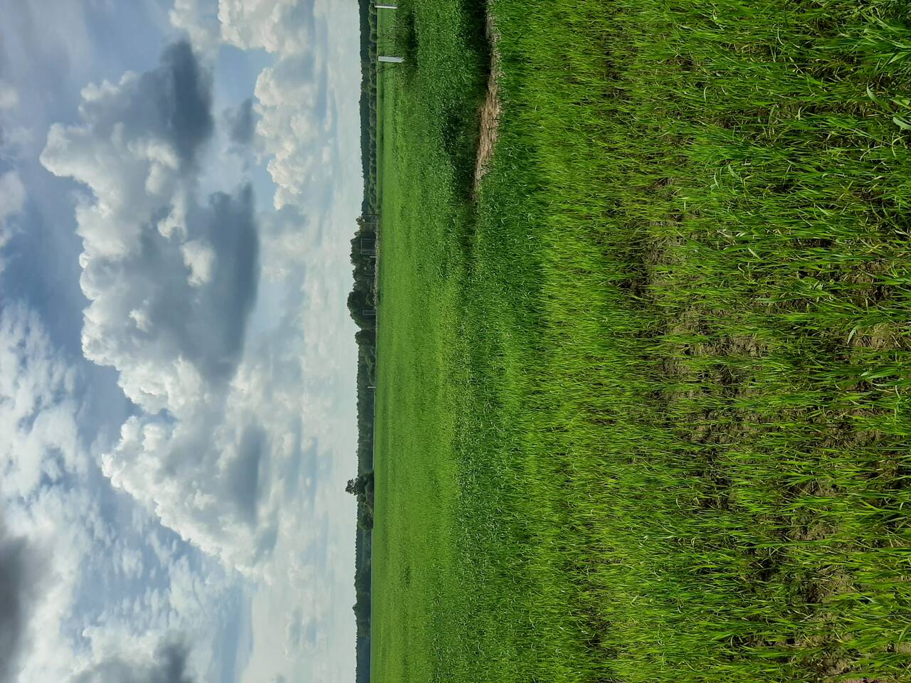 Земля для с/х производства в Москве фото 3 Недвижимость Москва