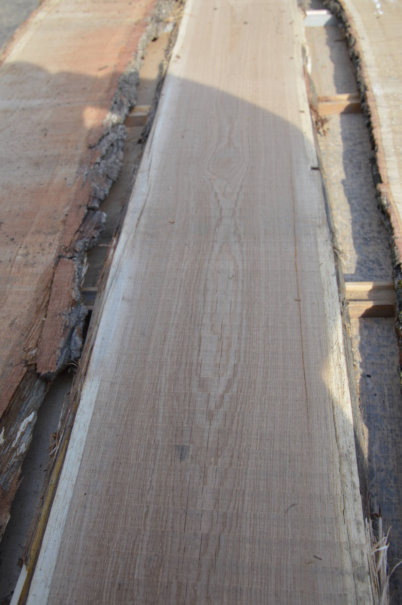 Доска ясеня обрезная, не обрезная, сухая, сырая.                                                                                           ГОСТ 2695 - 83, сорт 1/2/3 (3 сорта не более 6 %).                                                                   в Краснодаре фото 1 Для дома и дачи Краснодар