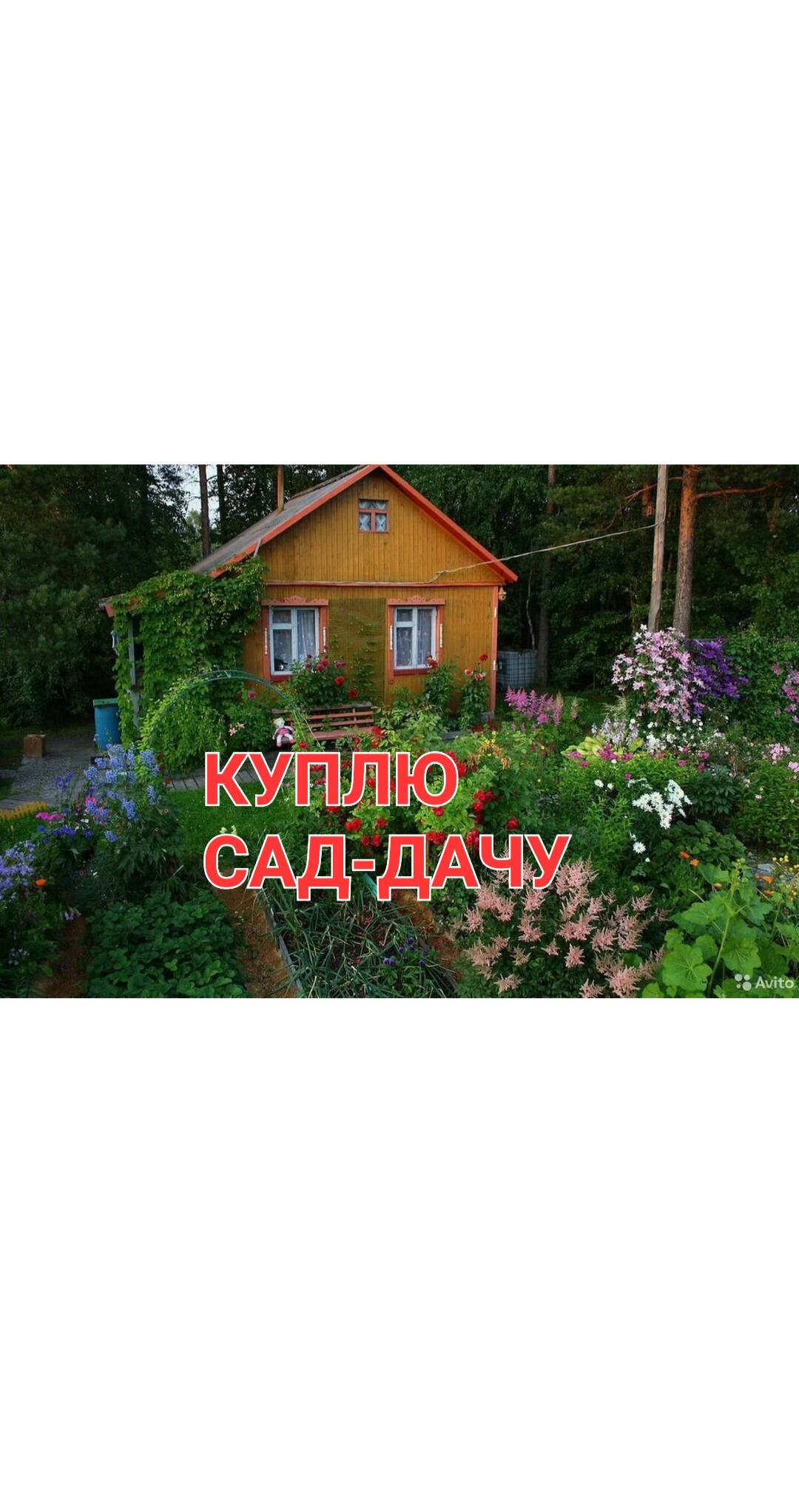 Куплю сад дачу в любом состоянии и любом районе города 