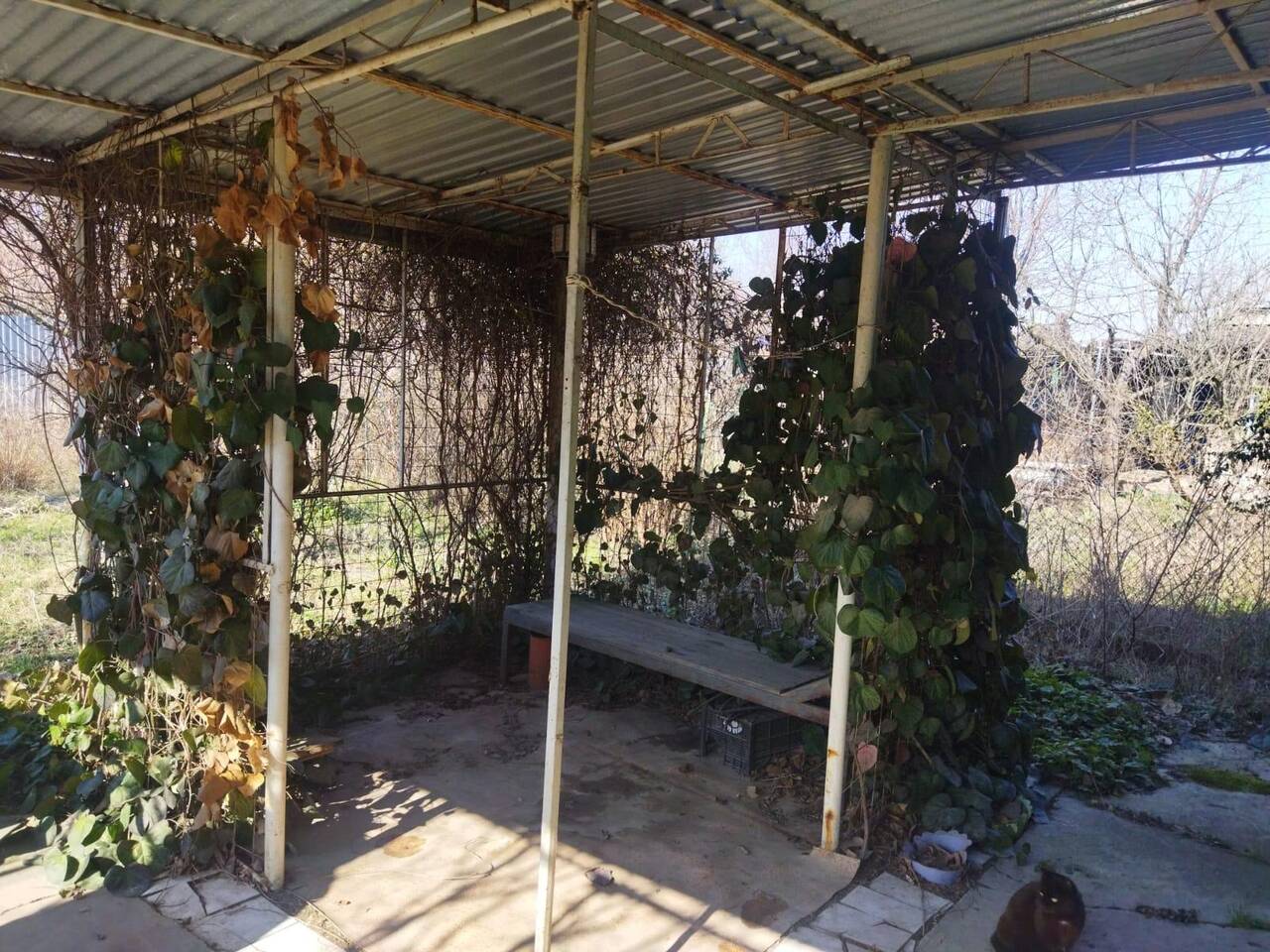 Продам дачу дом в Краснодаре фото 2 Недвижимость Краснодар Продам дачу дом в Краснодаре фото 2 Недвижимость Краснодар