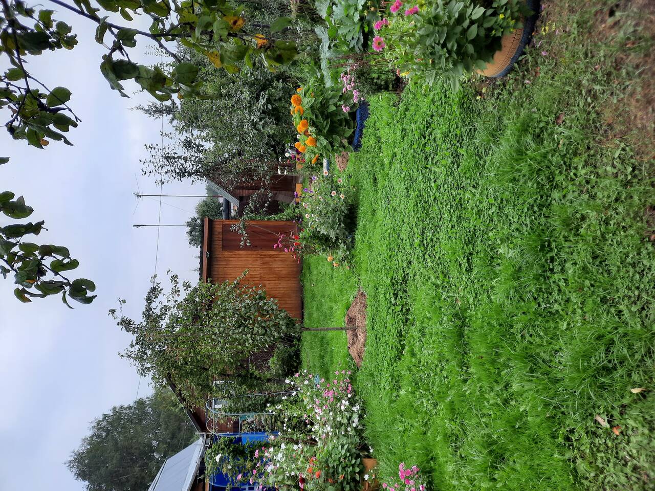 Продажа в Шатуре фото 7 Недвижимость Шатура