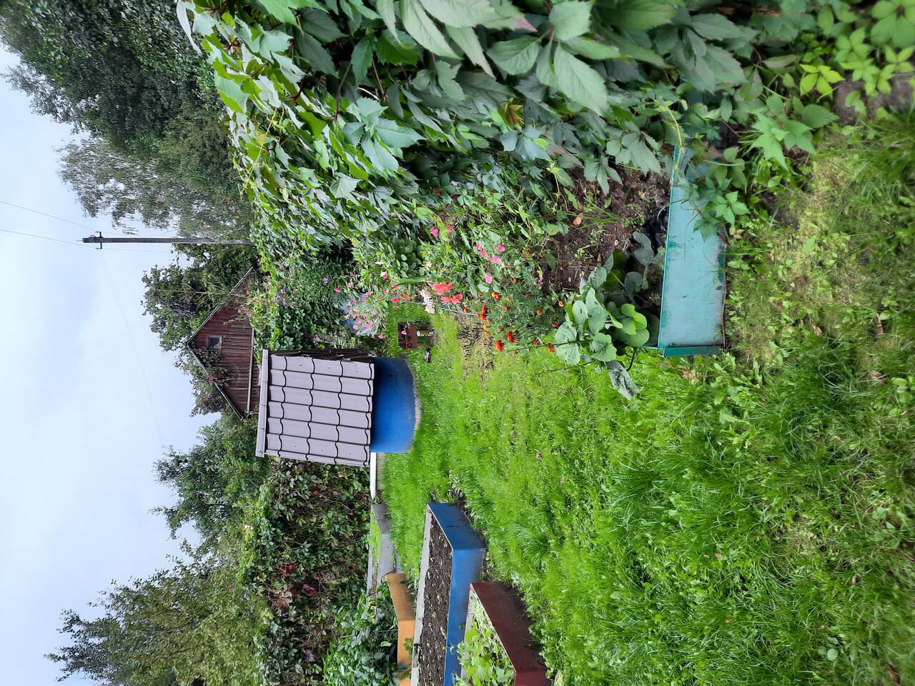 Продажа в Шатуре фото 2 Недвижимость Шатура