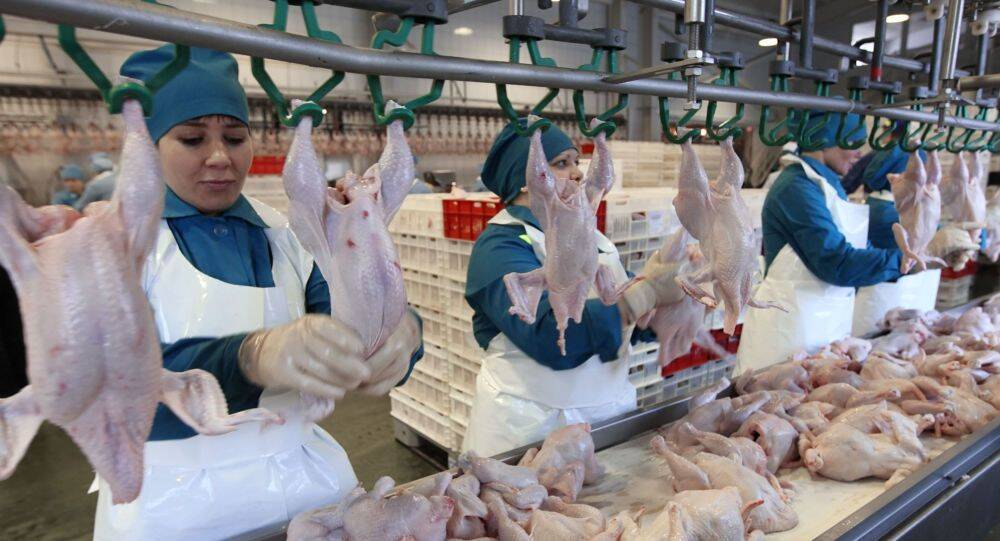 Упаковщик\ца\вахта г Белгород.