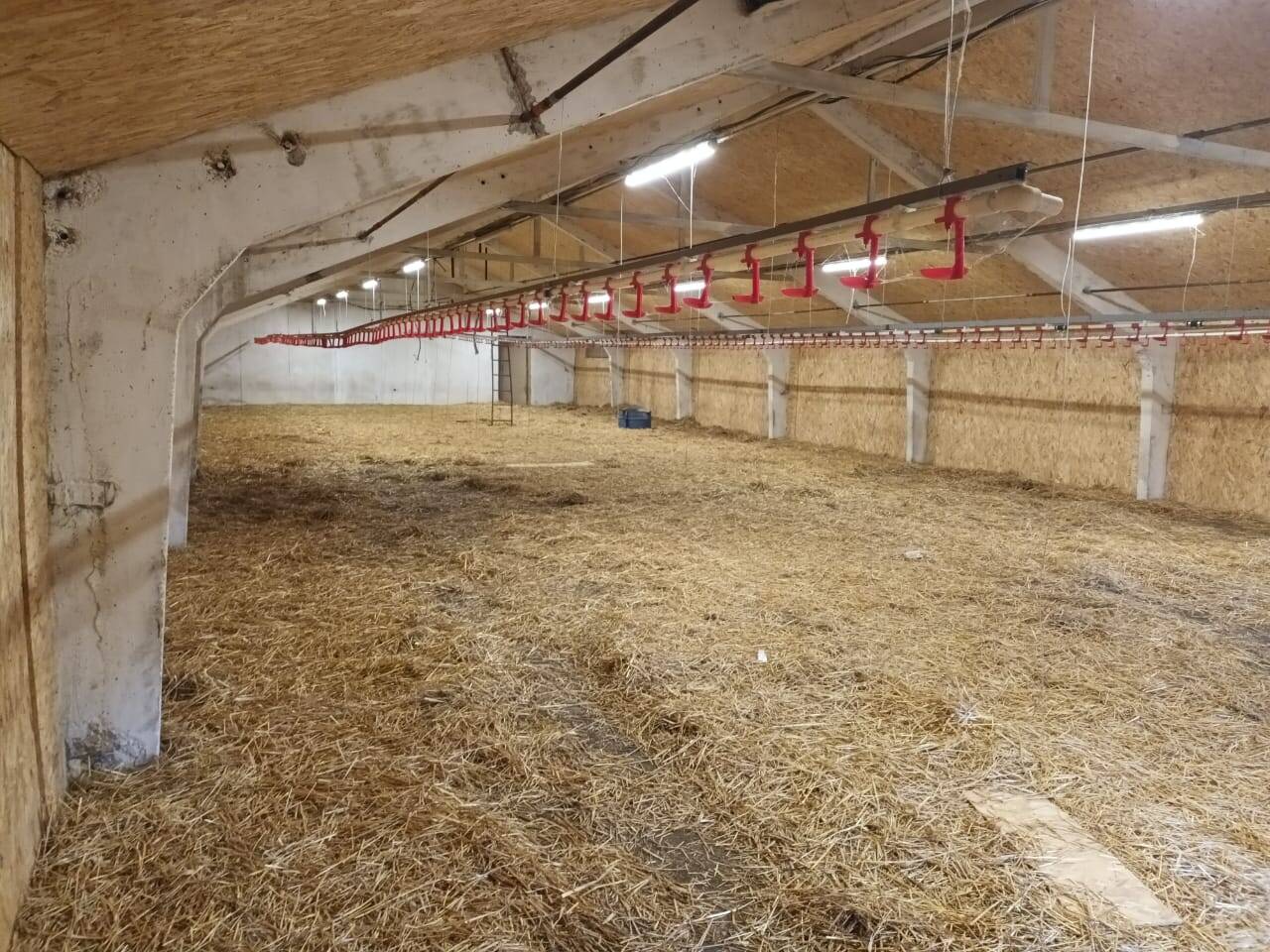 ферма склад производство в Туле фото 2 Недвижимость Тула