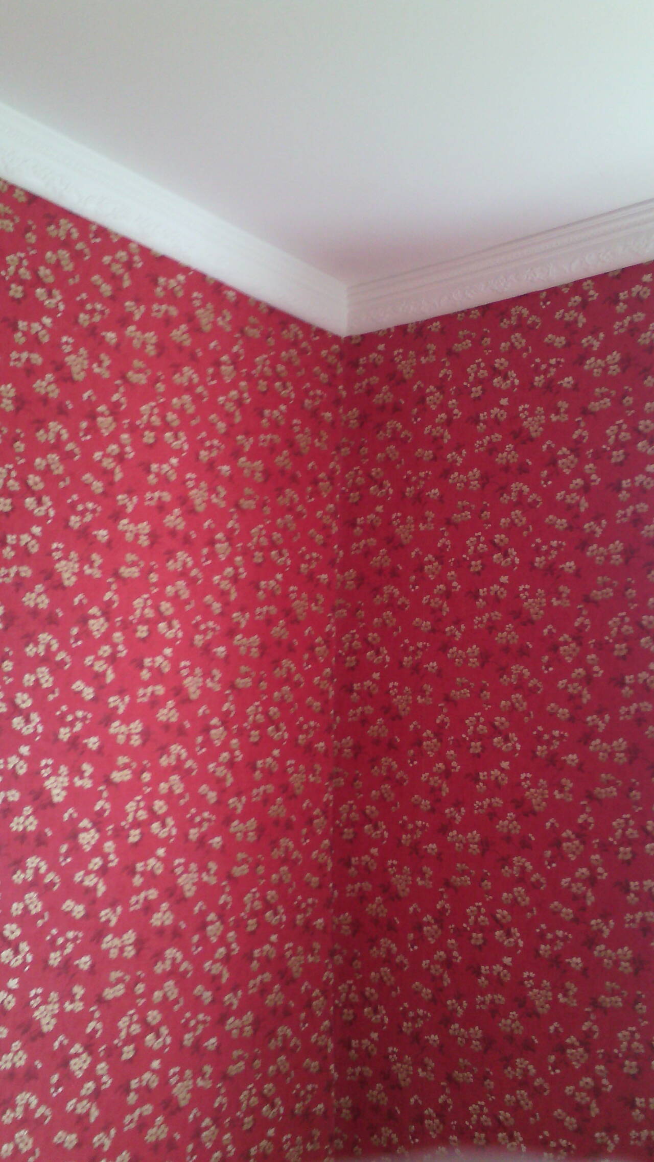 Малярные работы. покраска обои в Москве фото 1 Услуги Москва