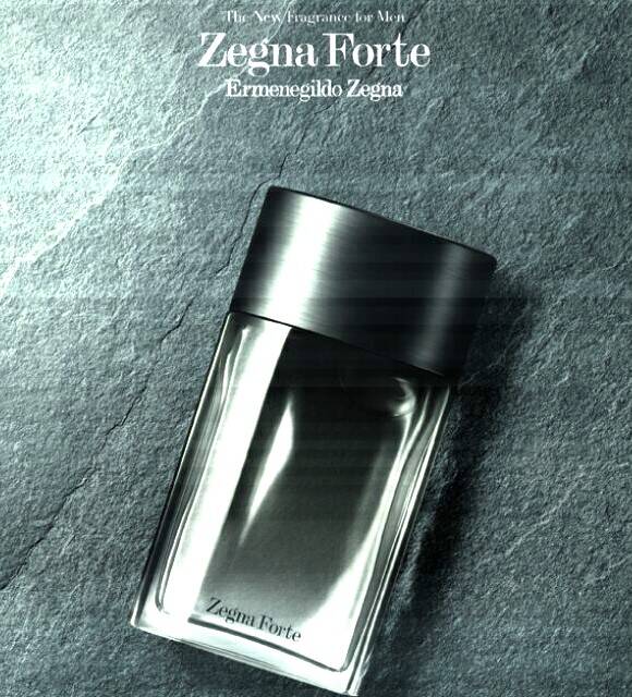 Ermenegildo Zegna Zegna Forte 2013 в Москве фото 1 Личные вещи Москва