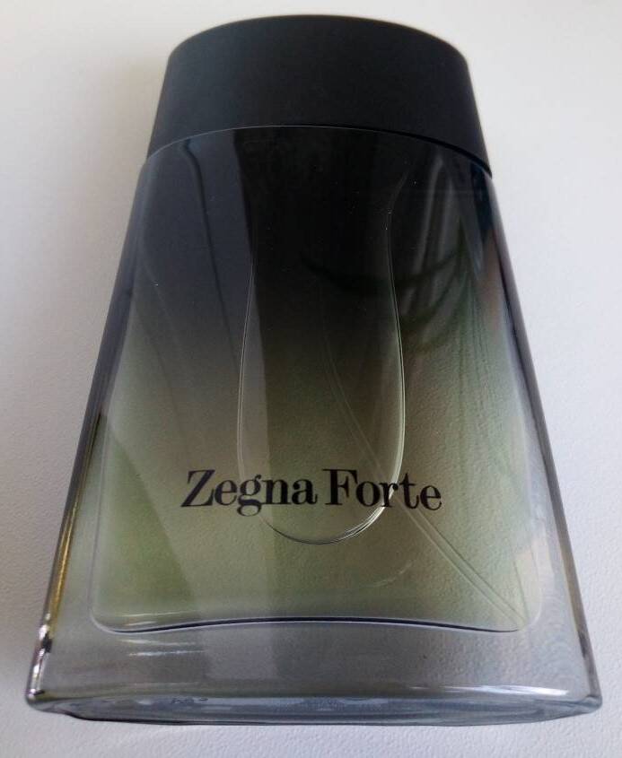 Ermenegildo Zegna Zegna Forte 2013 в Москве фото 6 Личные вещи Москва