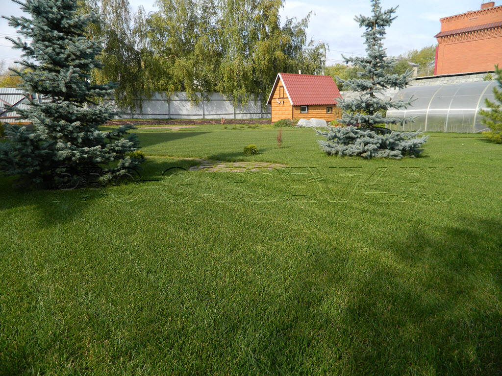 Ландшафтный дизайн в Челябинске фото 5 Для дома и дачи Челябинск