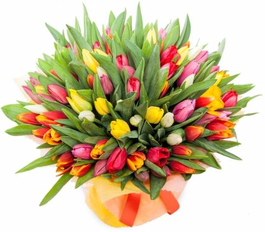 Цветы в Москве фото 5 Услуги Москва