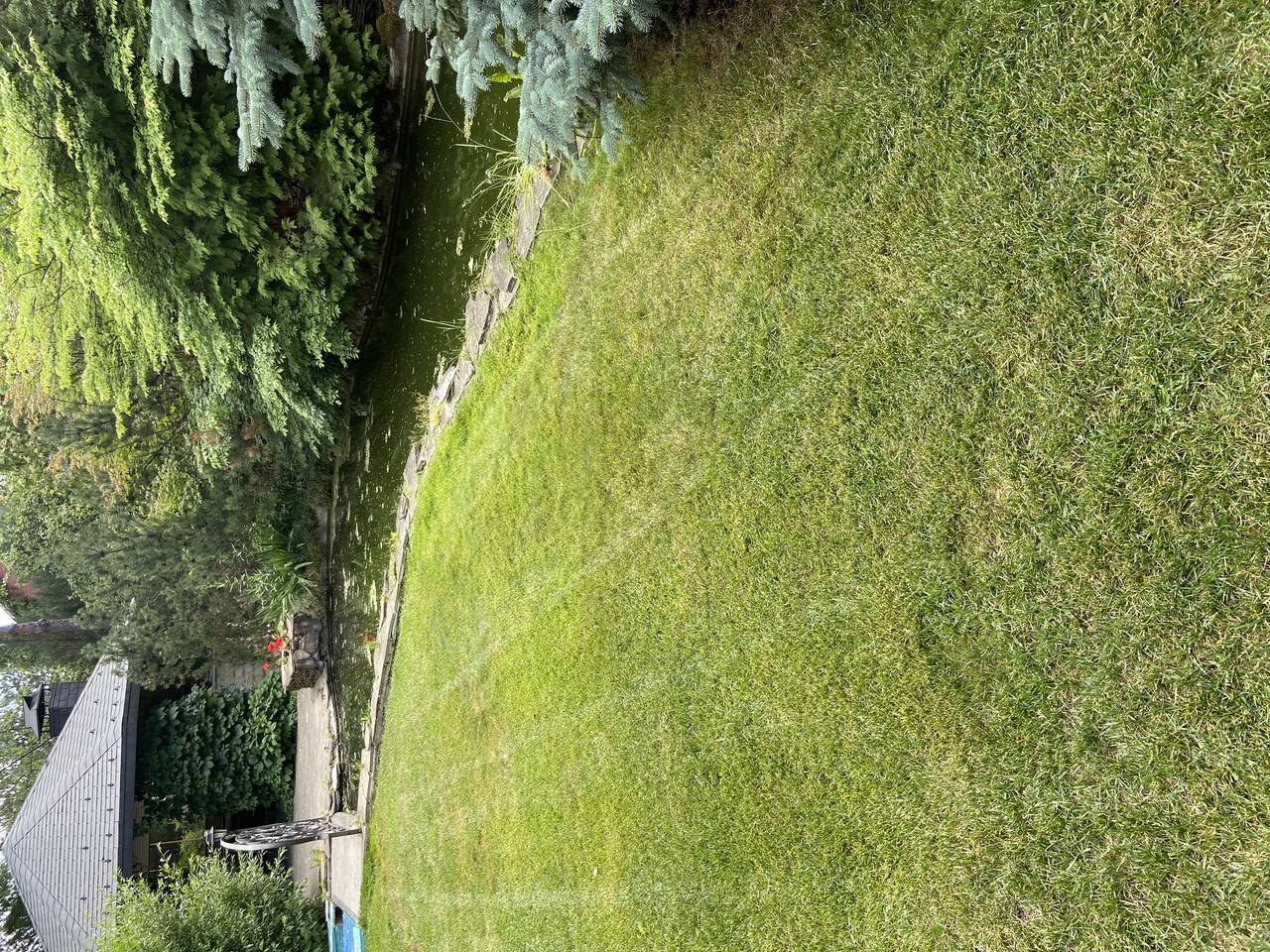 Скарификация  в Москве фото 1 Услуги Москва