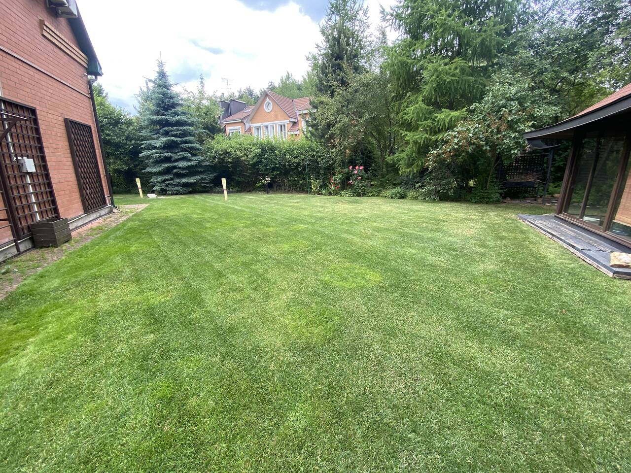 Скарификация  в Москве фото 2 Услуги Москва