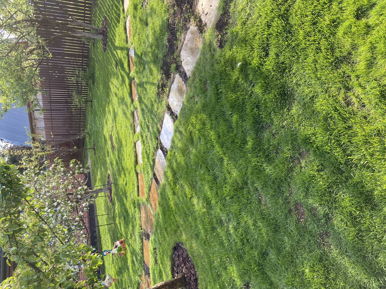 Аэрация  в Москве фото 2 Услуги Москва