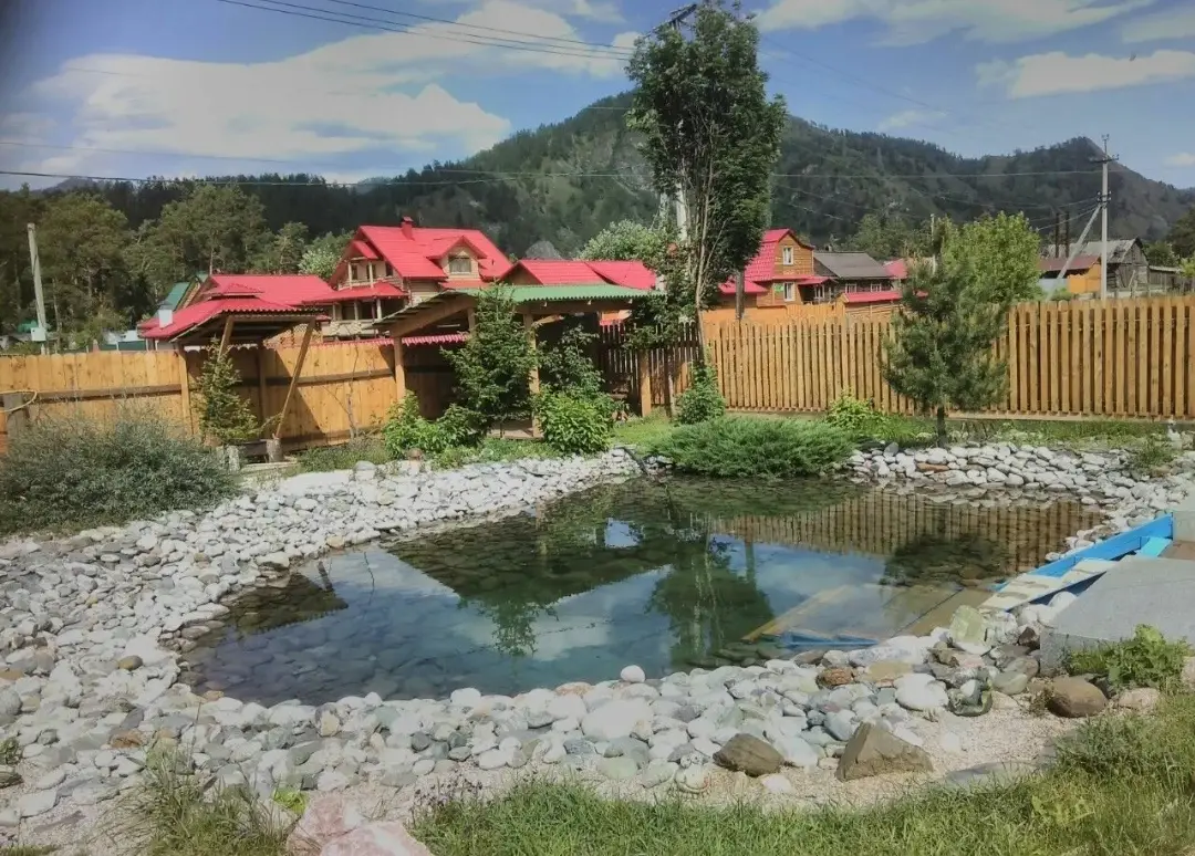 Незабываемый Ретрит на Алтае "Гармония Жизни" 2024 в Новосибирске фото 3 Увлечения и отдых Новосибирск