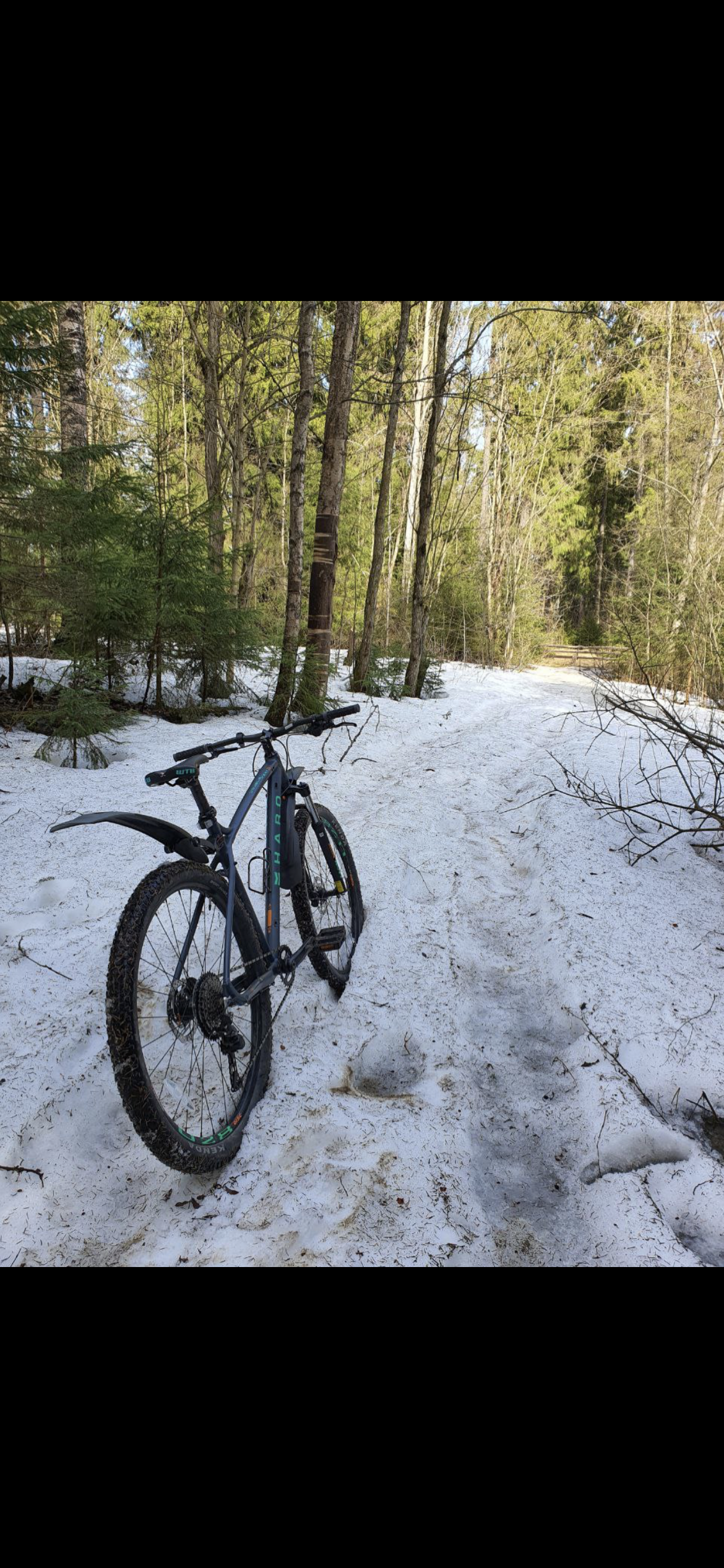 Велосипед во Всеволожске фото 2 Увлечения и отдых Всеволожск