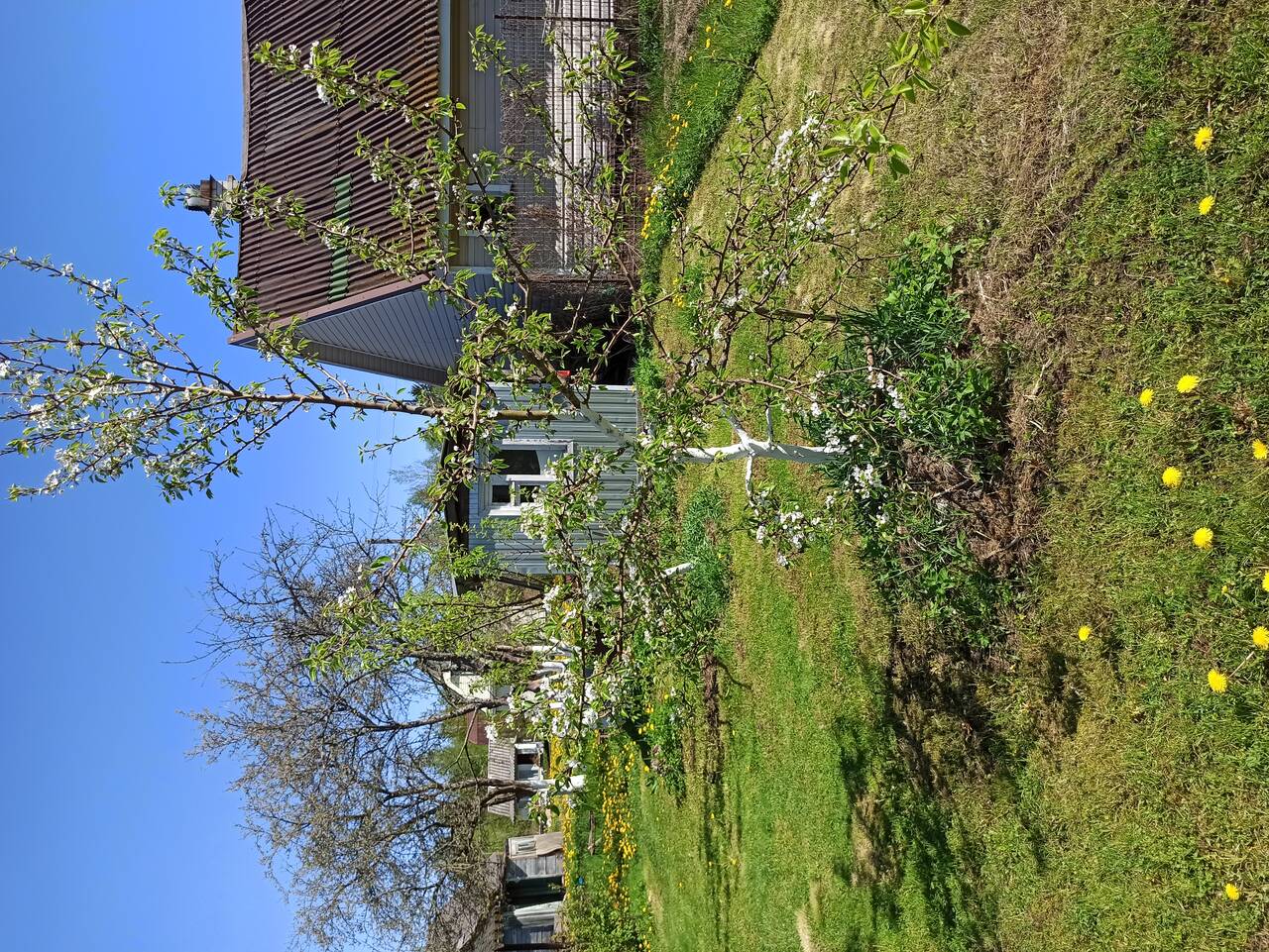 Дом 72 м2 на участке 11 соток в Кингисеппе фото 5 Недвижимость Кингисепп