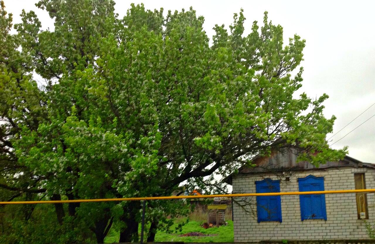 Недвижимость в Серафимовиче фото 3 Недвижимость Серафимович