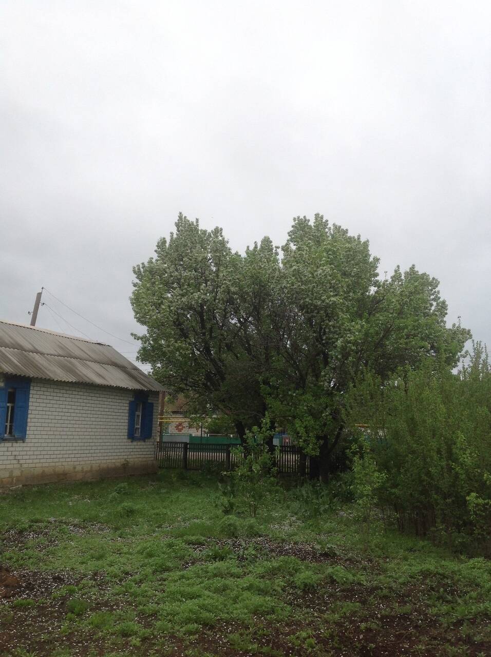 Недвижимость в Серафимовиче фото 1 Недвижимость Серафимович