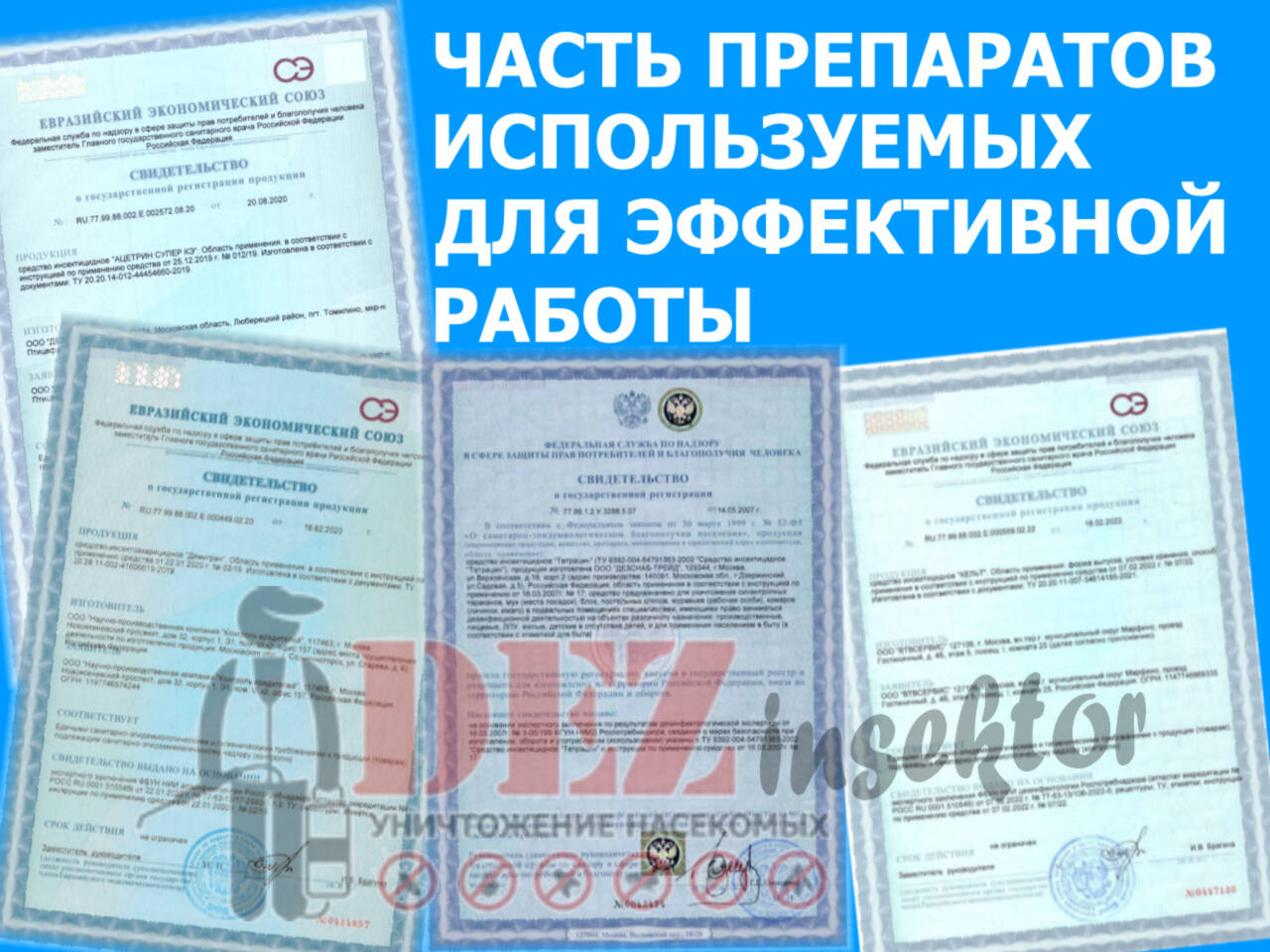 Уничтожение тараканов и других насекомых в Краснодаре фото 4 Услуги Краснодар Уничтожение тараканов и других насекомых в Краснодаре фото 4 Услуги Краснодар